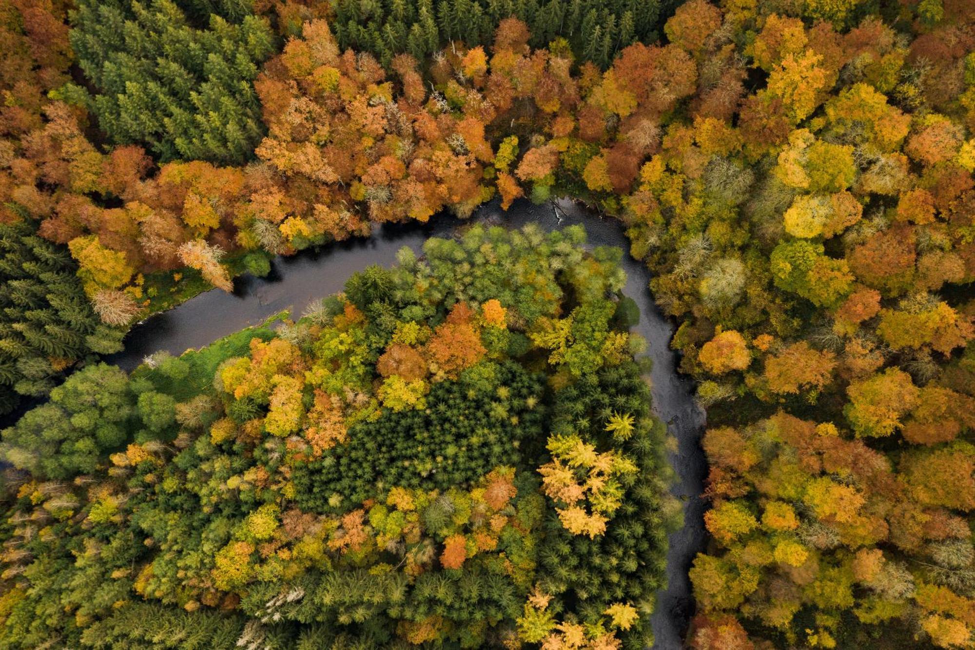 Les Cabanes De Rensiwez Mabompre Exteriör bild